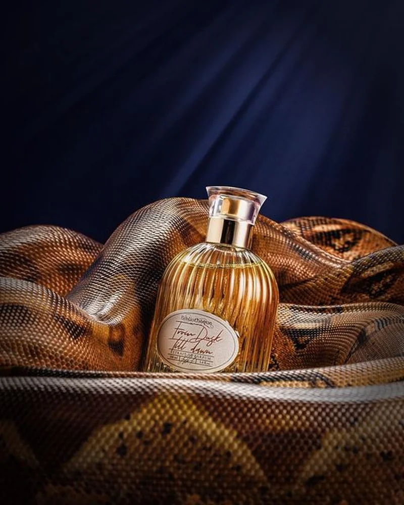 Sculptural Snake Coil — visual reference